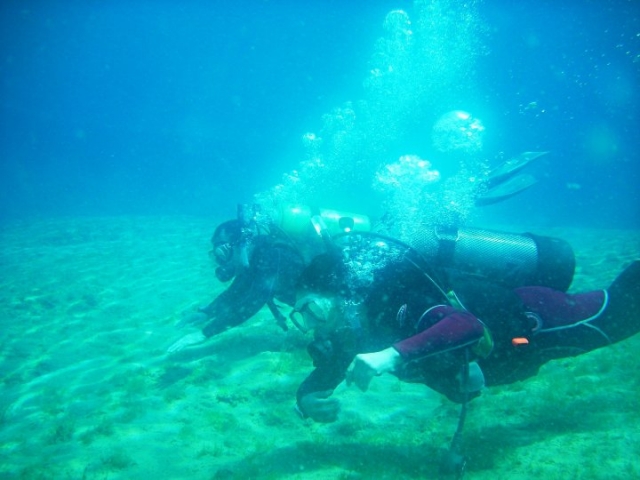  Diving with friends 